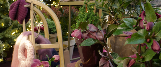 Iconic Time | Waterdrinker Aalsmeer