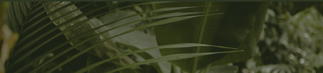 Horaires d’ouverture | Waterdrinker Aalsmeer