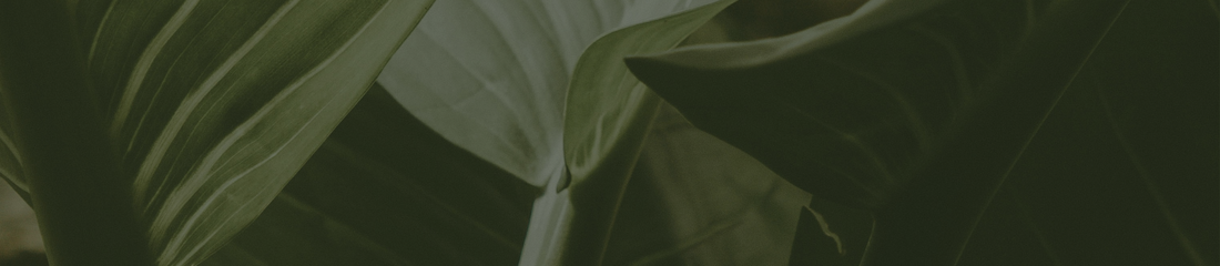 Inspiration library| Research & Insights | Waterdrinker Aalsmeer