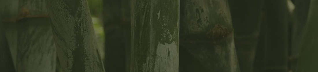 Inspiration library | Sustainability | Waterdrinker Aalsmeer