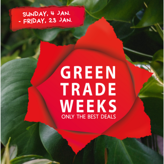 We’re kicking off the new year with extra purchasing advantages on plants, flowers and accessories! From Sunday 4 January to Friday 16 January, the Green Trade Weeks are back, giving you the chance to benefit from attractive deals at Waterdrinker. 