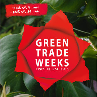 We’re kicking off the new year with extra purchasing advantages on plants, flowers and accessories! From Sunday 4 January to Friday 16 January, the Green Trade Weeks are back, giving you the chance to benefit from attractive deals at Waterdrinker.