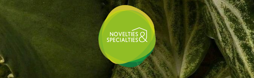 Novelties & Specialties | Waterdrinker Aalsmeer